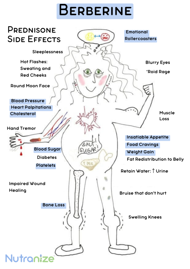 berberine side effects
